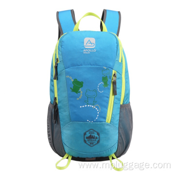 Leisure Outdoor Sports Mountaineering Backpack Customization